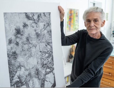 Lynda Fay Braun — Hidden Worlds Beneath the Surface